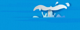 Acquiring enterprise accounts is like landing a white whale.