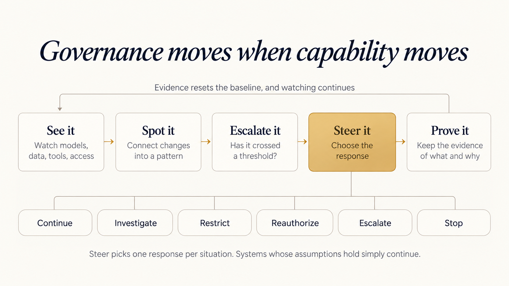 governance capability